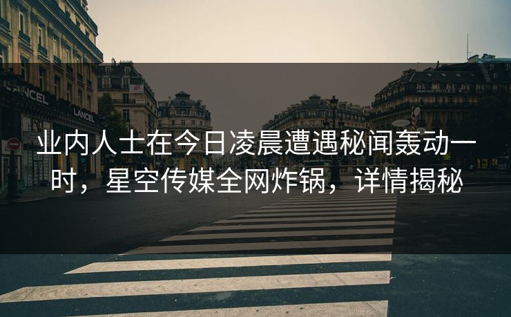 业内人士在今日凌晨遭遇秘闻轰动一时，星空传媒全网炸锅，详情揭秘