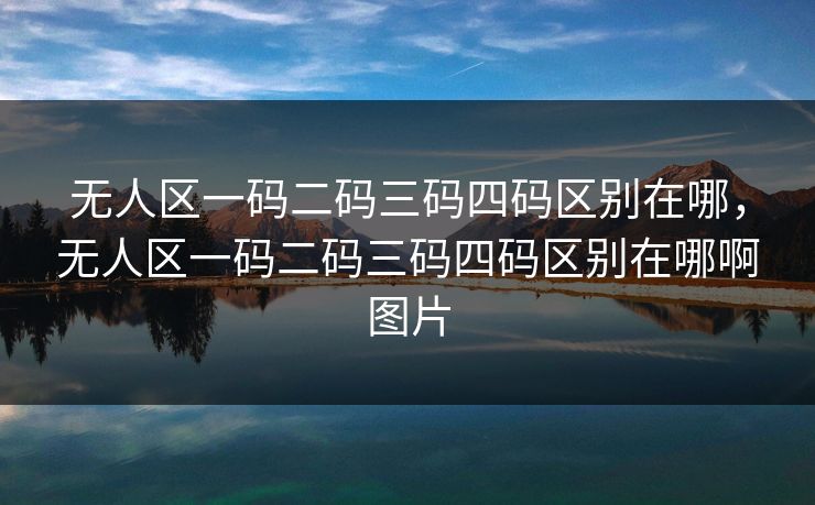 无人区一码二码三码四码区别在哪，无人区一码二码三码四码区别在哪啊图片