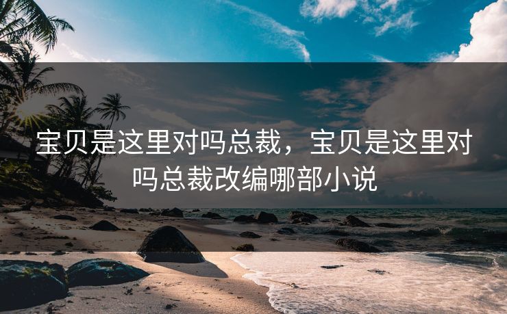 宝贝是这里对吗总裁，宝贝是这里对吗总裁改编哪部小说