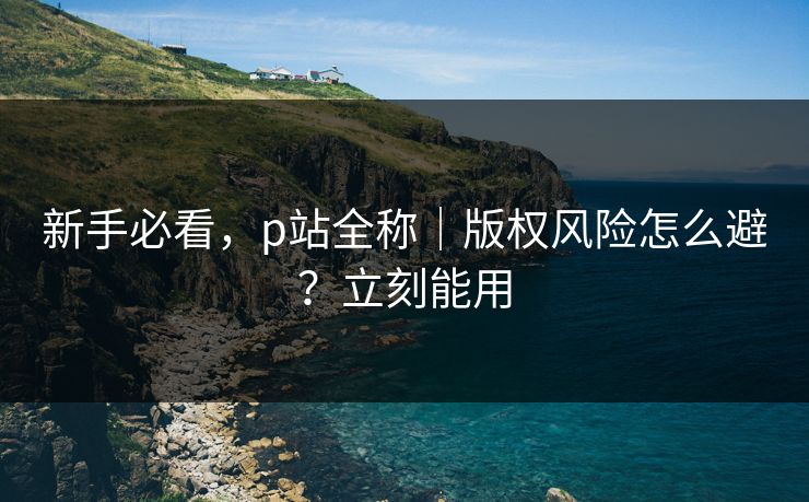 新手必看，p站全称｜版权风险怎么避？立刻能用